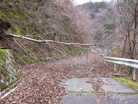 20200204hike (413)